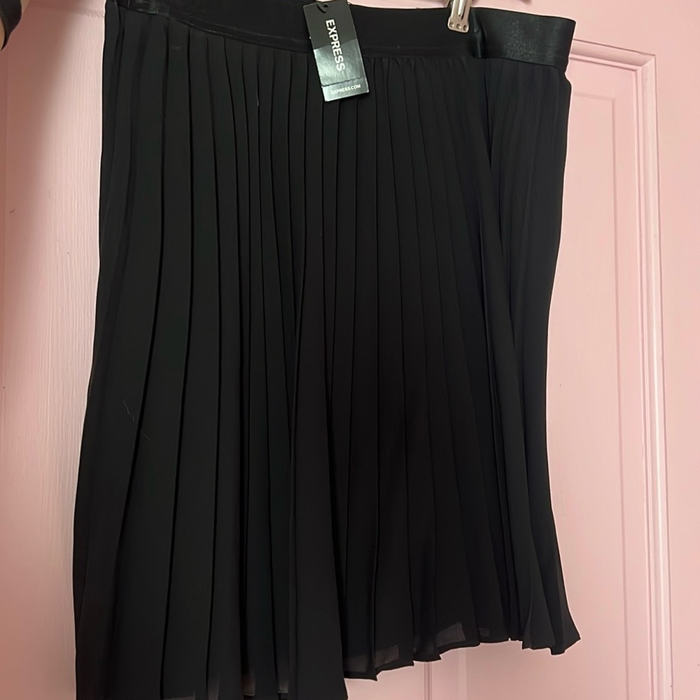 Pleated Miniskirt Express